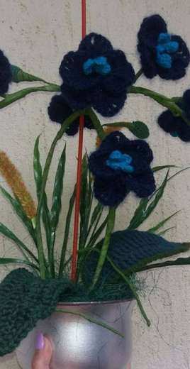 Orchidea