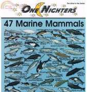 Jeanette Crews Designs One Nighters 462 - 47 Marine Mammals