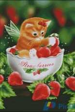 HAED HAEDMED 12354 Strawberry Kitten by Melissa Dawn