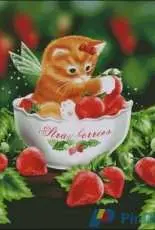HAED HAEDMED 12354 Strawberry Kitten by Melissa Dawn