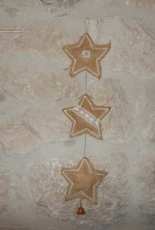 Burlap Star banner