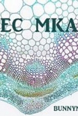 Corte Transversal (DEC 2017 MKAL) by bunnymuff - Mona Zillah