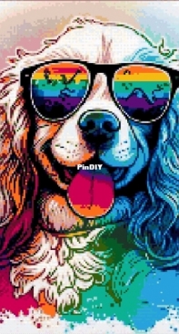 Rainbow Cocker