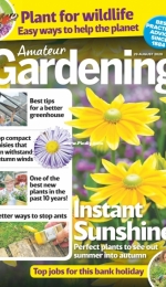 Amateur Gardening - 29 August 2020