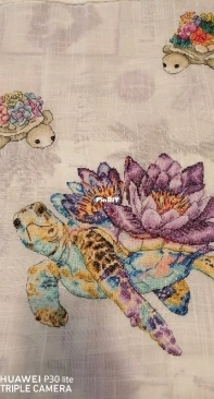Tartarughe