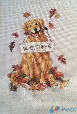 Golden Retriever Welcome