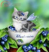 HAED HAEDMED 12360 Blueberry Kitten by Melissa Dawn