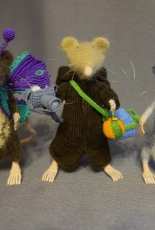 Rats