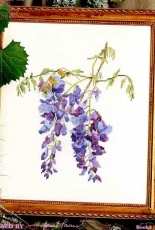 Janet Powers Book 30018 - Wisteria