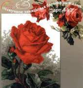 PC Studio 442 Rose