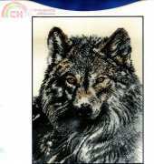 DMC K5383 - Wild Wolf