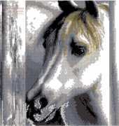 Zolotoe Runo Z-003 White Foal