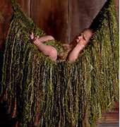 Boomer Beanies - Nicole Thompson - Moss Hammock