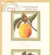 Zolotoe Runo ZR FS-002 Lemons