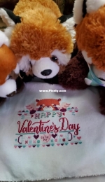 Valentines Day (Red Panda)