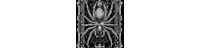 ⛧☾༺ Gothic art ༻