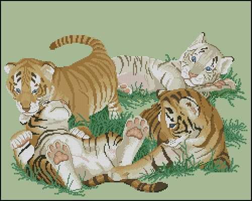 CC+-+028+Tiny+Tigers.jpg
