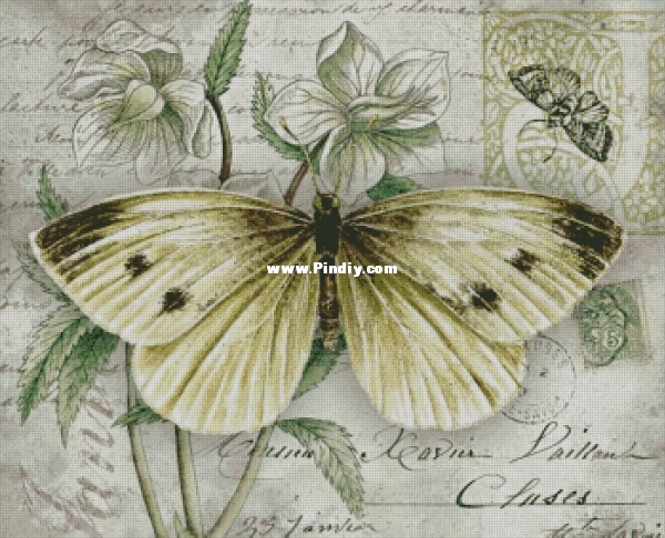 Butterfly Vintage6.jpg