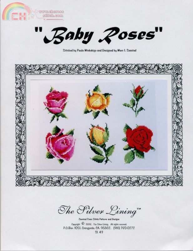 Baby Roses.jpg