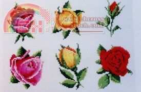 SL43 Baby Roses.jpg