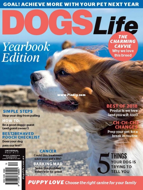 Dogs Life - August 2018.jpg