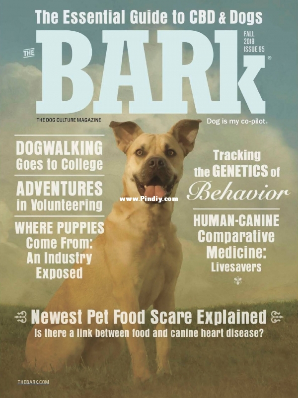 The Bark - Fall 2018.jpg