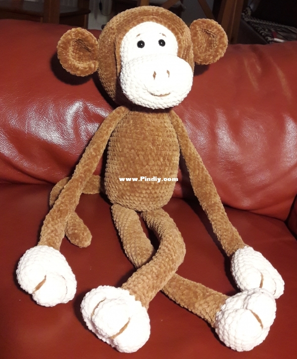 2020 03 08 Mike the Monkey.jpg