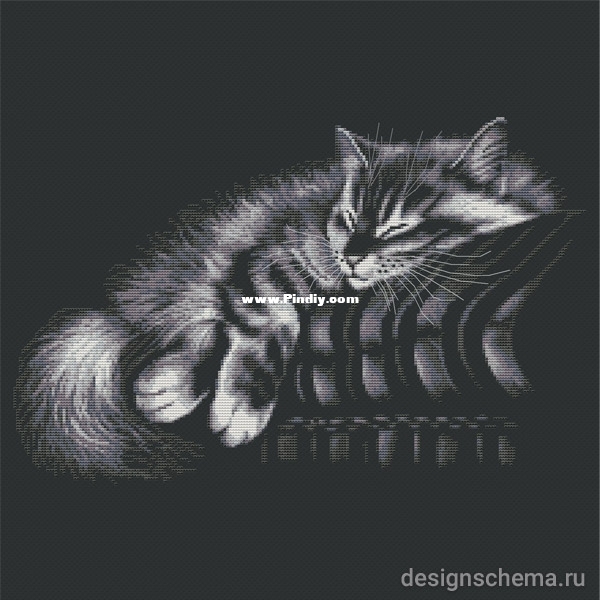 Sleeping Cat.jpg