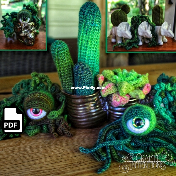 Crafty Intentions-Succulent and Cactus Eyeball Plants-1.jpg