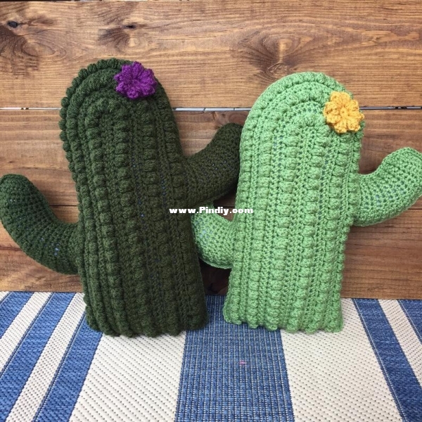 cactus pillow.jpg