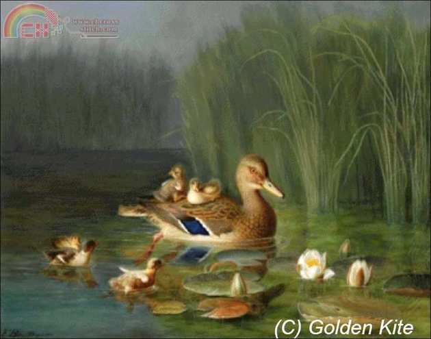 1233 Wild Duck with its Ducklings.jpg