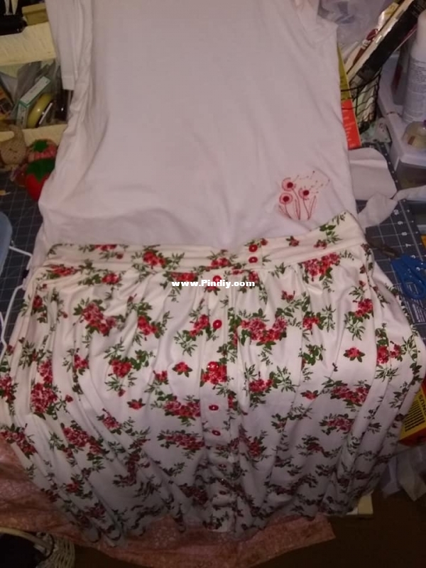 Skirt and shirt 1.jpg
