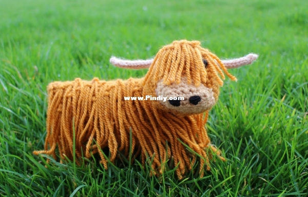 I Am Branching Out - Woolly Bully-1.jpg