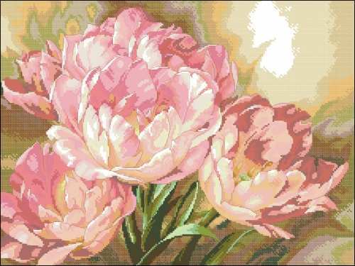 Dimensions 35175 ulip Trio.jpg
