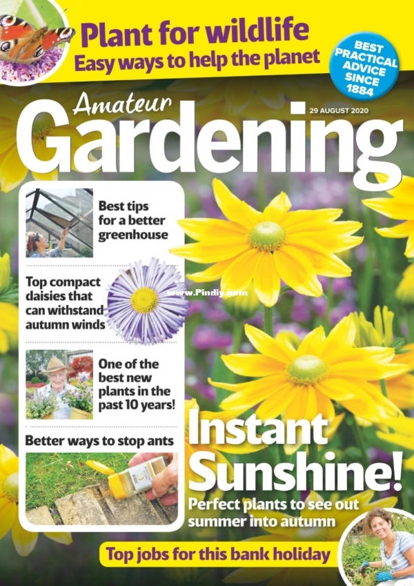 Amateur_Gardening_-_29_August_2020_1.jpg