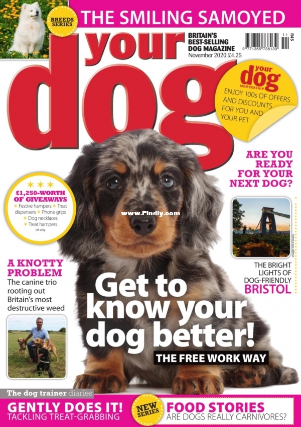 Your_Dog_Magazine_-_November_2020_1.jpg