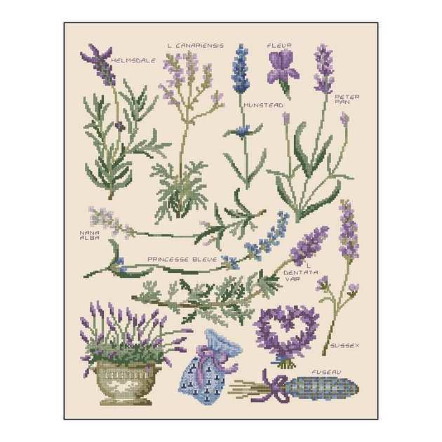 D M C - Lavender Sampler 2.jpg