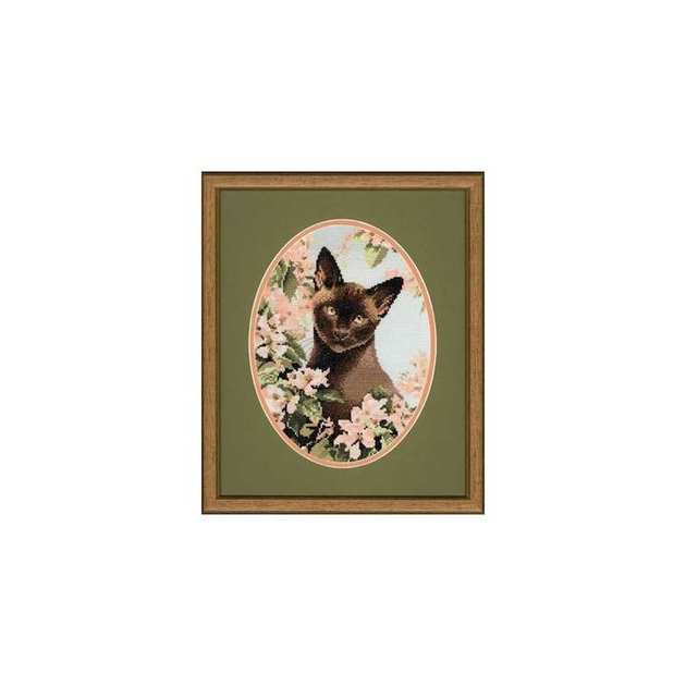 JSBC304 Burmese Cat.jpg