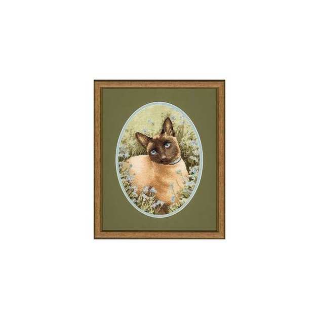 JSSC305 Siamese Cat.jpg