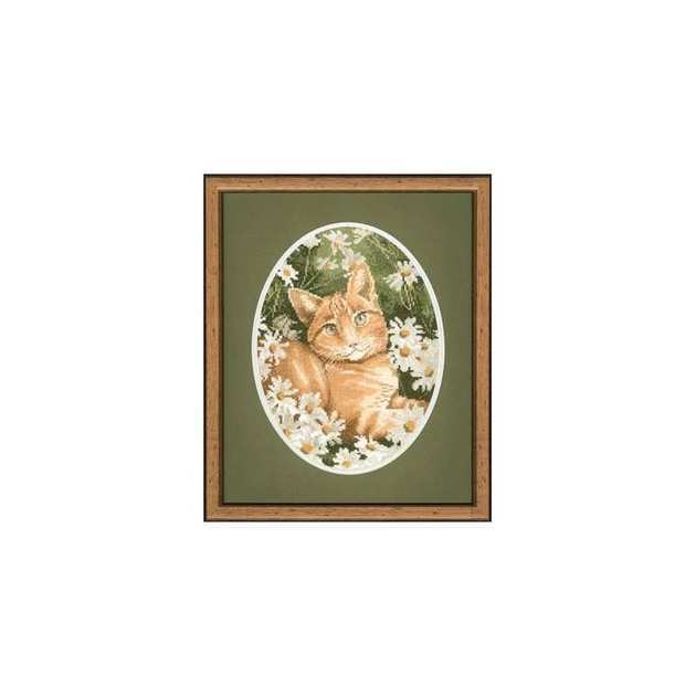 JSGC306 Ginger Cat.jpg