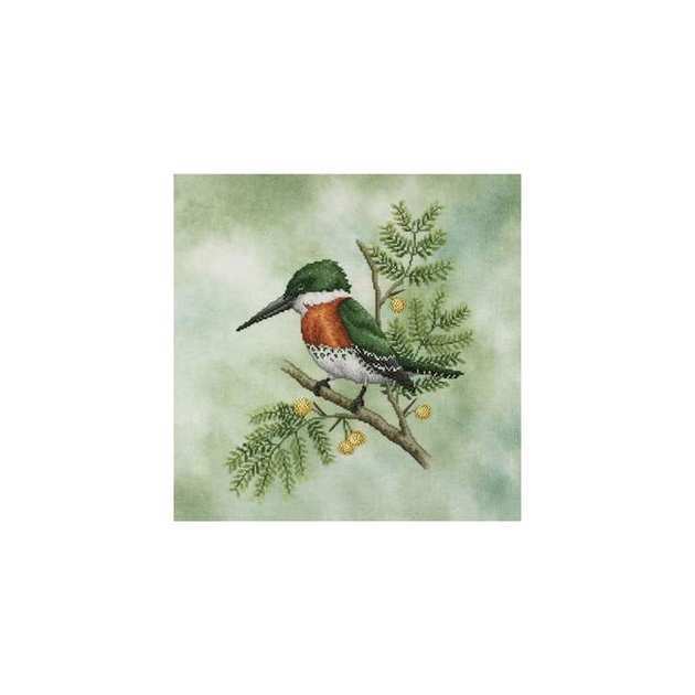 Gkingfisher.jpg