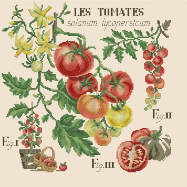 LBP_Etude_aux_fruits_Les_Tomates.jpg