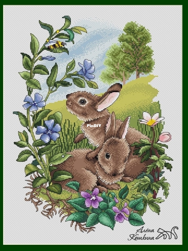 Rabbits.jpg