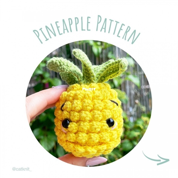 Catknit Pineapple 1.jpg