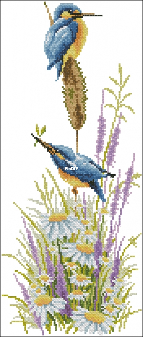 25.156 Kingfishers.jpg