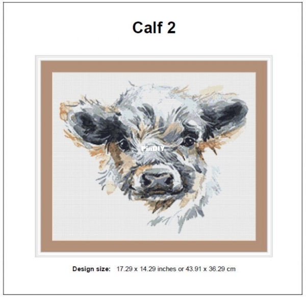 calf 2.jpg