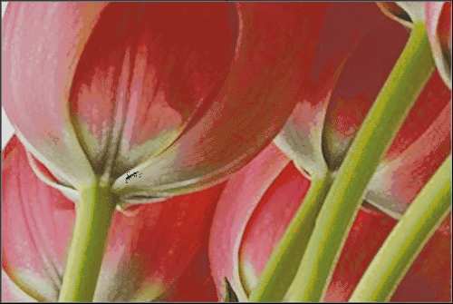 I love cross stitch 5 tulips II.jpg