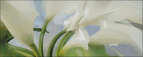 I love cross stitch Calla Lilies Ⅱ.jpg