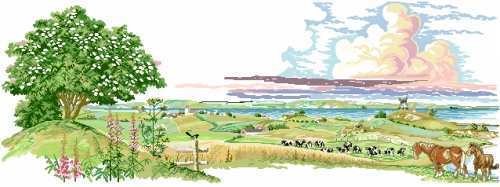 Farm Scenery.jpg