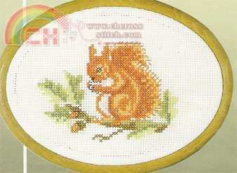 12-0154 Squirrel.jpg